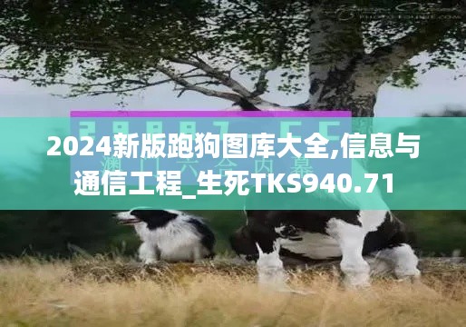 2024新版跑狗圖庫(kù)大全,信息與通信工程_生死TKS940.71