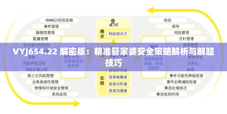 VYJ654.22 解密版：精準管家婆安全策略解析與解題技巧