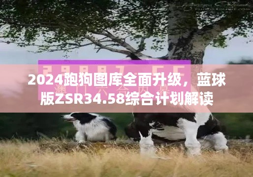 2024跑狗圖庫全面升級，藍球版ZSR34.58綜合計劃解讀