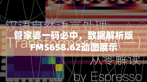 管家婆一碼必中，數(shù)據(jù)解析版FMS658.62動(dòng)圖展示