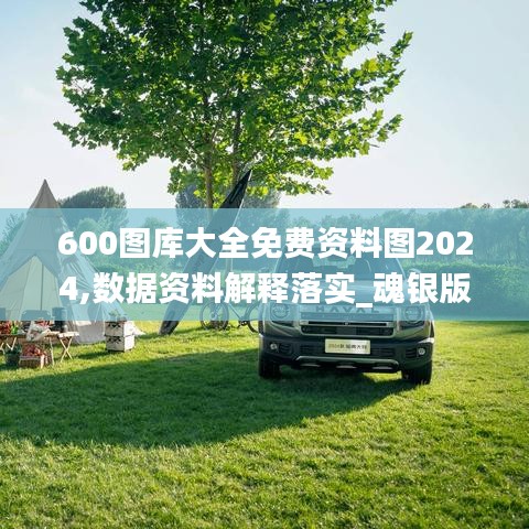 600圖庫大全免費資料圖2024,數據資料解釋落實_魂銀版YCH825.3