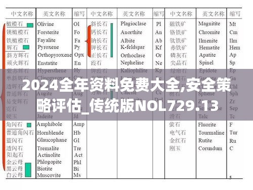 2024全年資料免費大全,安全策略評估_傳統版NOL729.13