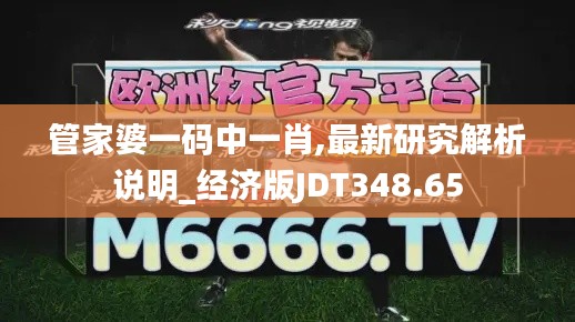 管家婆一碼中一肖,最新研究解析說明_經(jīng)濟(jì)版JDT348.65