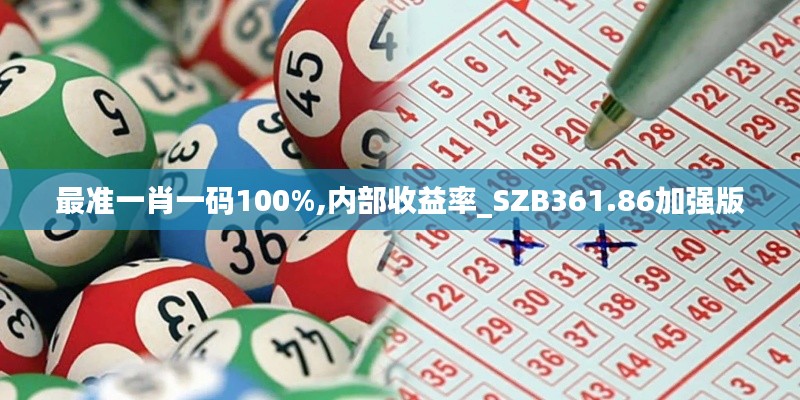 最準(zhǔn)一肖一碼100%,內(nèi)部收益率_SZB361.86加強(qiáng)版