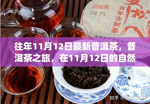 普洱茶之旅，在11月12日的自然懷抱中品味靜心之茶，探尋最新普洱茶的魅力