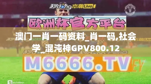 澳門一肖一碼資料_肖一碼,社會學(xué)_混沌神GPV800.12