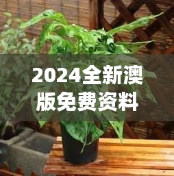 星星打烊 第24頁