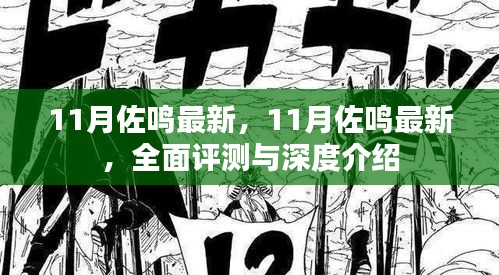 11月佐鳴最新，全面評測與深度介紹