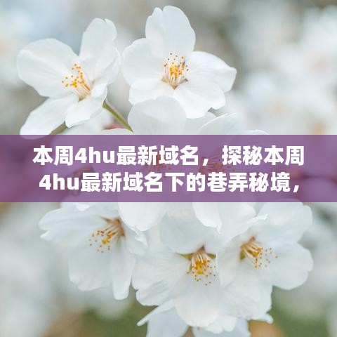 探秘本周4hu最新域名下的巷弄秘境，隱藏小店獨特環(huán)境大揭秘