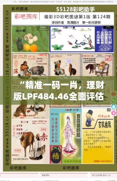 “精準一碼一肖，理財版LPF484.46全面評估”