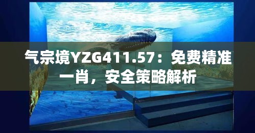 氣宗境YZG411.57：免費(fèi)精準(zhǔn)一肖，安全策略解析