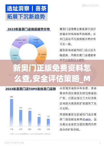 新奧門(mén)正版免費(fèi)資料怎么查,安全評(píng)估策略_MUS375.28仙神境