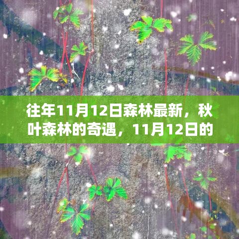 秋日森林奇遇，溫馨記憶中的最新秋葉森林