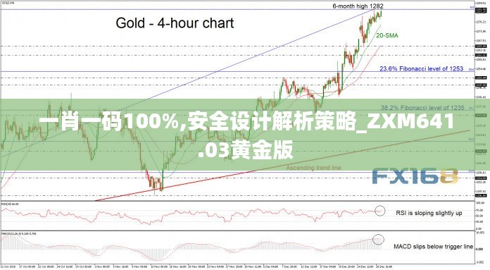 一肖一碼100%,安全設(shè)計(jì)解析策略_ZXM641.03黃金版