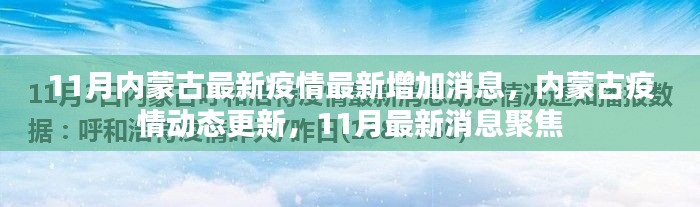 內(nèi)蒙古11月疫情最新動態(tài)，最新增加消息與聚焦