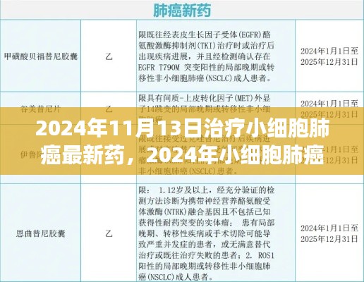 2024年小細(xì)胞肺癌治療新藥全面解析與用戶體驗(yàn)，最新藥物評(píng)測及療效展望