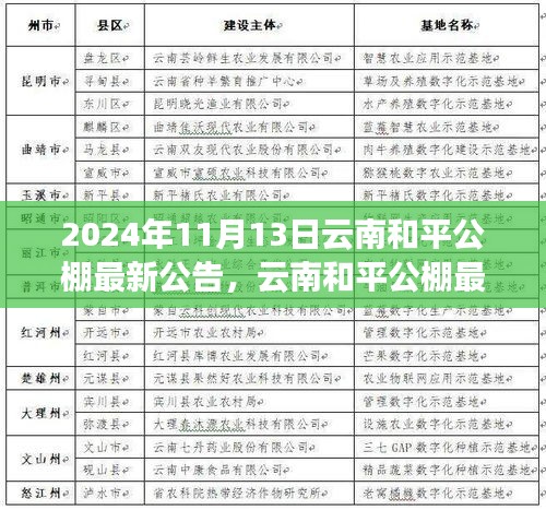 云南和平公棚最新公告發(fā)布，多元觀點探析與解讀