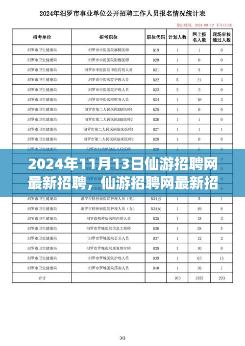 2024年11月13日仙游招聘網(wǎng)最新動(dòng)態(tài)，聚焦人才市場(chǎng)熱點(diǎn)