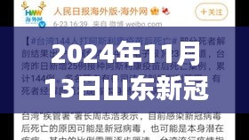 山東新冠疫情最新報告，多維視角下的深度分析（2024年11月13日）