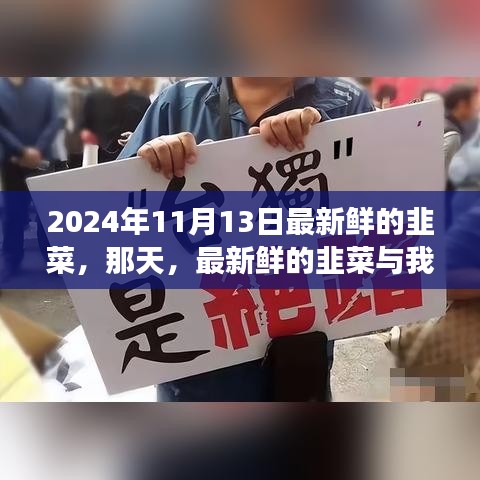 新鮮韭菜與溫馨故事，2024年11月13日的邂逅