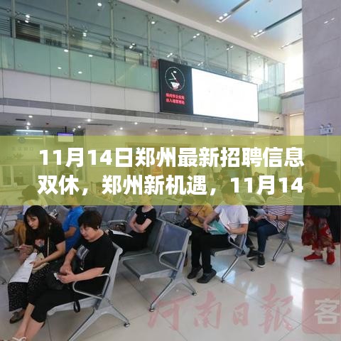 鄭州最新招聘信息揭秘，學(xué)習(xí)與成長之旅，雙休路上的自信與成就感