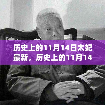 歷史上的11月14日太妃傳奇，最新解讀與影響全解析