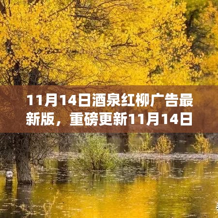 11月14日酒泉紅柳廣告最新版，重磅更新，精彩紛呈