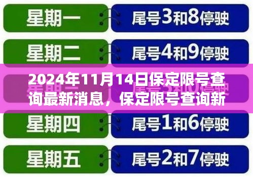 保定限號查詢新紀(jì)元，科技引領(lǐng)綠色出行，APP升級助力綠色出行