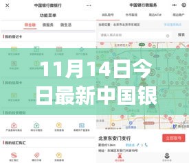 揭秘，中國銀行最新外匯牌價(jià)動態(tài)及影響力解析（11月14日更新）