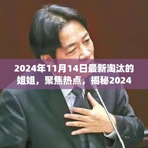 揭秘，2024年11月14日最新淘汰的姐姐背后的故事與熱點(diǎn)聚焦