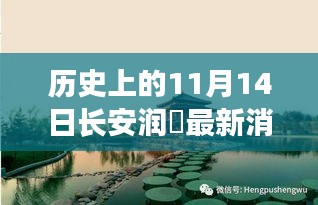 長安潤璟秘境探索，歷史與美食的碰撞時刻，最新消息揭秘秘密小店