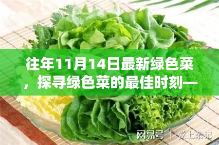 探尋綠色菜的最佳時刻，以往年11月14日為例的蔬菜盛宴