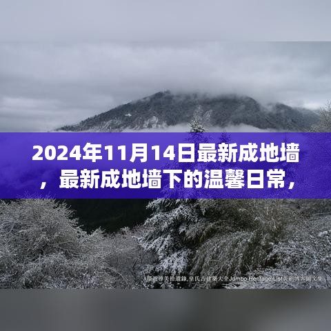 最新成地墻下的溫馨日常，友誼與愛共筑美好家園的2024年1月記事