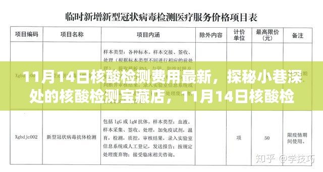 探秘核酸檢測(cè)寶藏店，揭秘最新核酸檢測(cè)費(fèi)用新鮮事（11月14日更新）