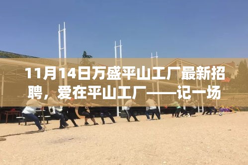 愛在平山工廠，最新招聘與求職之旅啟程