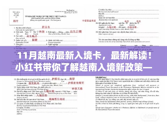 小紅書解讀，最新越南入境卡詳解及新政策解析