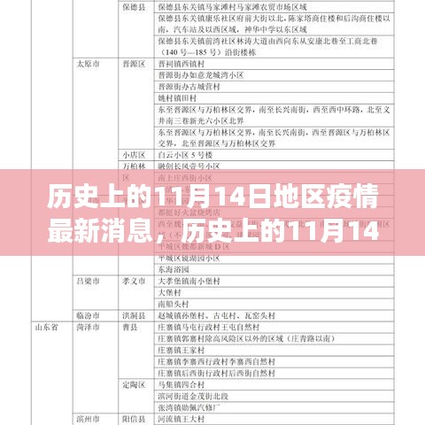 歷史上的11月14日全球疫情進(jìn)展與地區(qū)動態(tài)分析，最新消息及進(jìn)展概述