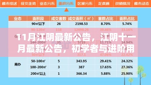 江陰十一月最新公告發(fā)布，初學者與進階用戶指南詳解