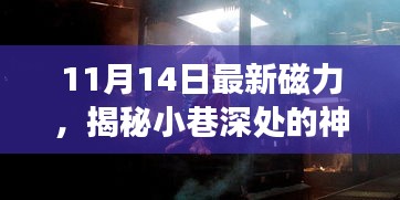 揭秘神秘寶藏，11月14日最新磁力小巷小店探秘之旅