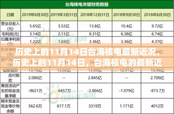 歷史上的11月14日，臺(tái)海核電的最新近況及其影響分析概覽