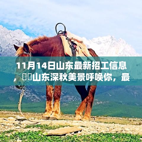 山東最新招工信息帶你領(lǐng)略深秋美景的心靈之旅啟程招募！