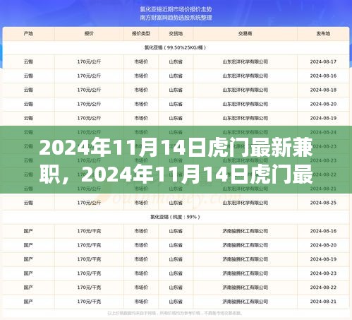 2024年11月14日虎門最新兼職，機(jī)遇與挑戰(zhàn)并存