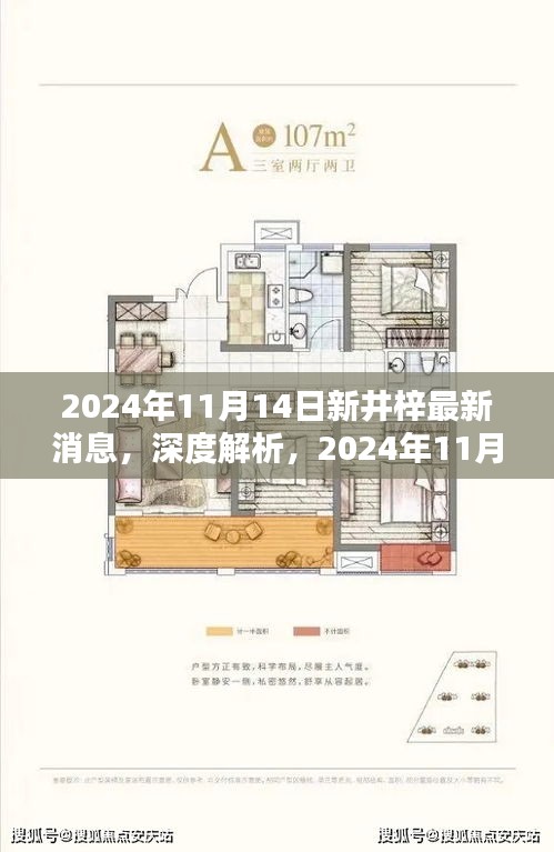 深度解析，2024年11月14日新井梓產(chǎn)品最新消息揭秘，特性、用戶體驗(yàn)與目標(biāo)用戶群體探討