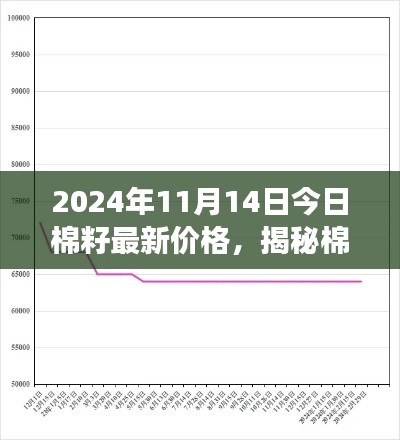 揭秘棉籽市場走勢，最新價格動態(tài)分析與預(yù)測（2024年11月14日）