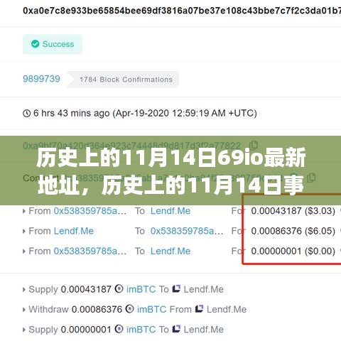 歷史上的11月14日事件與69io最新地址探索，指南及發(fā)掘方法