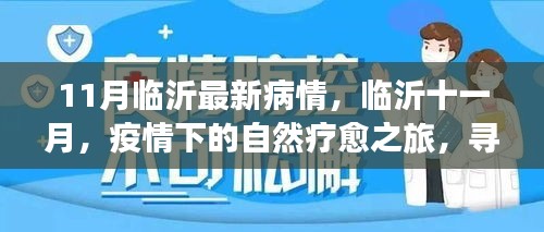 臨沂十一月疫情下的自然療愈之旅，尋找內(nèi)心的寧?kù)o港灣