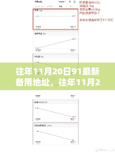 往年11月20日最新備用地址全面評(píng)測(cè)與介紹