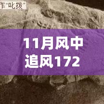 揭秘，風(fēng)中追風(fēng)最新裝備的時(shí)代地位與影響，逐風(fēng)而行，價(jià)值高達(dá)172萬(wàn)裝備重磅登場(chǎng)！