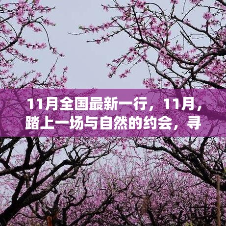 11月踏自然之旅，內(nèi)心的桃花源探尋記