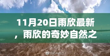 雨欣的11月20日奇妙探險，自然之旅尋找心靈寧靜與笑聲